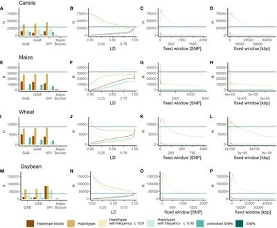 Haplotype blocks for genomic prediction: a comparative evaluation in multiple crop datasets